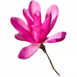 ���m���������ͥԺ�t���m�����m�������ԾG�������L�����羰�^��