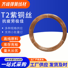 �R�� T2���~�z �߼��ȵ��s�| ΢�͏����@�ƌ��þ��� Ҏ���Rȫ�S��