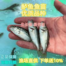 |~絭ˮBֳ|~شˮں|·ˮBֳ|~~