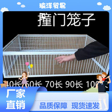 ֻ�M�������ӻ\�ԄӲ��u�����Wȸ�B�\��jײ�T�\���������Ｐ�@ˇ