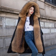 ɿ˷Ů¿ëđɲжLӽqӺaƤ