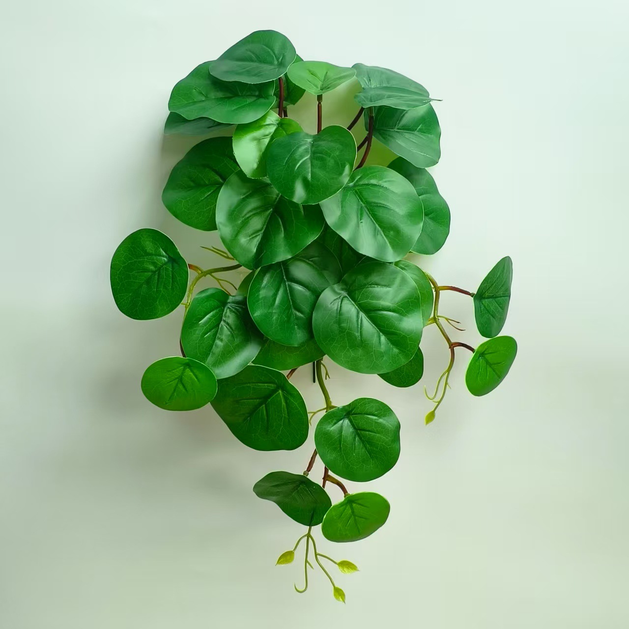29잎 거울잎 L1