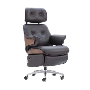 Imus Recliner Home Sedentary Comfortable Rotating Electric Computer Chair Office Boss Chair Study Sofa Chair