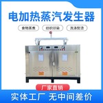 小型热能216KW电加热蒸汽机纺织熨烫配套设备立式热管蒸汽发生器