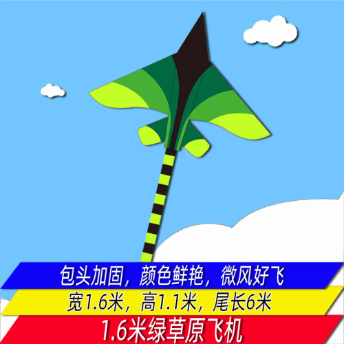 Weifang Kite Wholesale Lucky Fighter Foreign Trade Rainbow Silver Gray Aircraft Prairie Missile Aircraft Factory Direct Sales