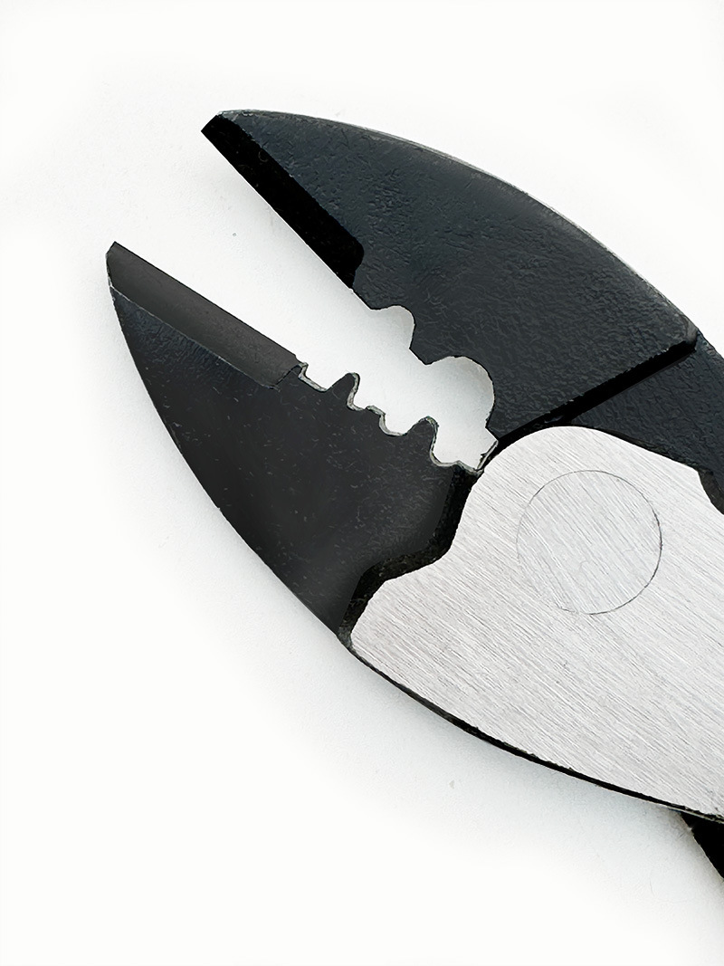 微信图片_202412282055241