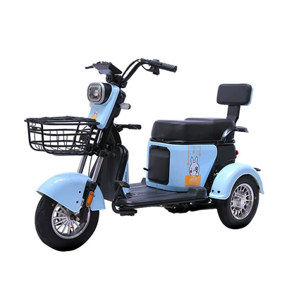 Household Electric Tricycle | Dingzhi Auto Parts and Accessories
