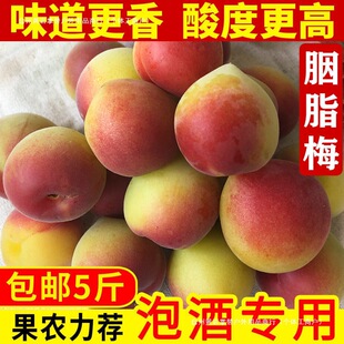 ��÷�r���Fժ��֬÷�ݾƽ�����÷����ϸ�ɽҰ�����r��÷���t÷Ʒ