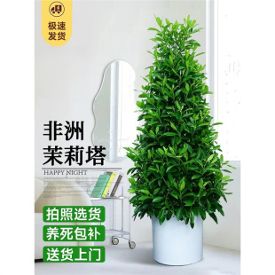 �����������Դ�Gֲ���^�����Ϙ�����ȩ�҃ȿ͏d�����̨�����辰