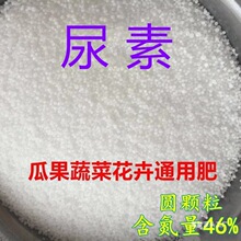 ���ط���ͨ���͵��ʷN���N���ЙC�ʵ���⛷��w�������߲˹��仨��