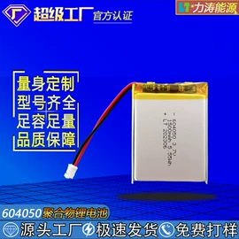 锂电池