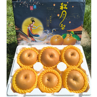 ������Y��һ�����l��ˮ��ߴ��϶Y�� ˮ���Y�������R�������