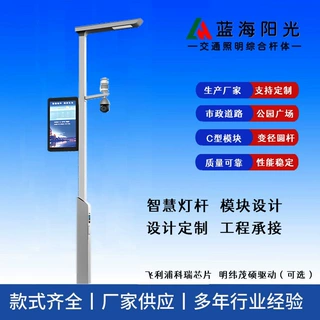 青岛源头厂家批发定制道路 双臂 单火监控路灯灯高杆灯LED路灯