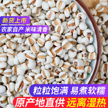 ޲������؛�F���r���Ԯa������޲�׳�С�������͌�����K