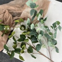 ��֦�ع��~ �zӡ������ֲ�����~�Ә��~���Ĕz���߃��b[��