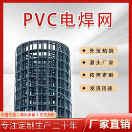 PVC电焊网制定铁丝保温抹墙钢丝网墙面加固铁丝建筑网片养殖网