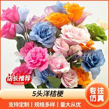 ���滨���W��۹����滨���¿�ĵ��Ż�ˇ�����쾰�Ҿ��bٻ�