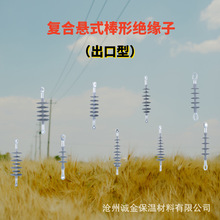 ��ѹ����12 24KV��ʽ���𽺰��ξ�Ե��( ������)FXB-12/70CT�羳