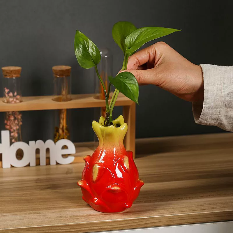 Драконья фруктовая, апельсиновая, зеленая растительность, пенниворт, потос, ваза для искусственных цветов, гостиная, офисный рабочий стол, керамическое гидропонное устройство для цветов