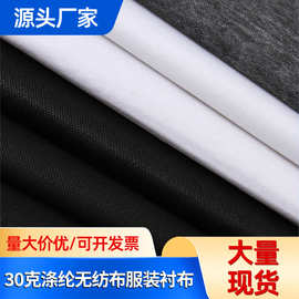 30克涤纶无纺布衬布服装衬布 现货供应 衣服门襟领子裤腰面料