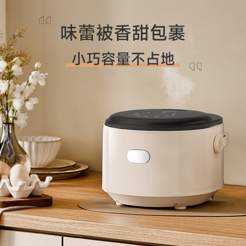 雙膽迷你電飯煲家用多功能電飯智能不粘鍋批發代發