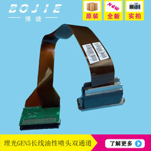 Ricoh����G5��ӡ�^UVƽ���ӡ�C���^ GEN5�pɫ���^ �L�� N221414L