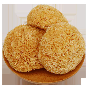 ���⿵�¡�����y����؛�خa���l���x�����z���o��Ѭ�S��ֱ��