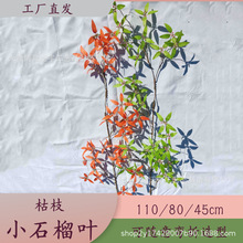 ����Сʯ���~���滨�Gֲֲ��ٻ���֦�Ҿ��b߼��Д[���S�����l