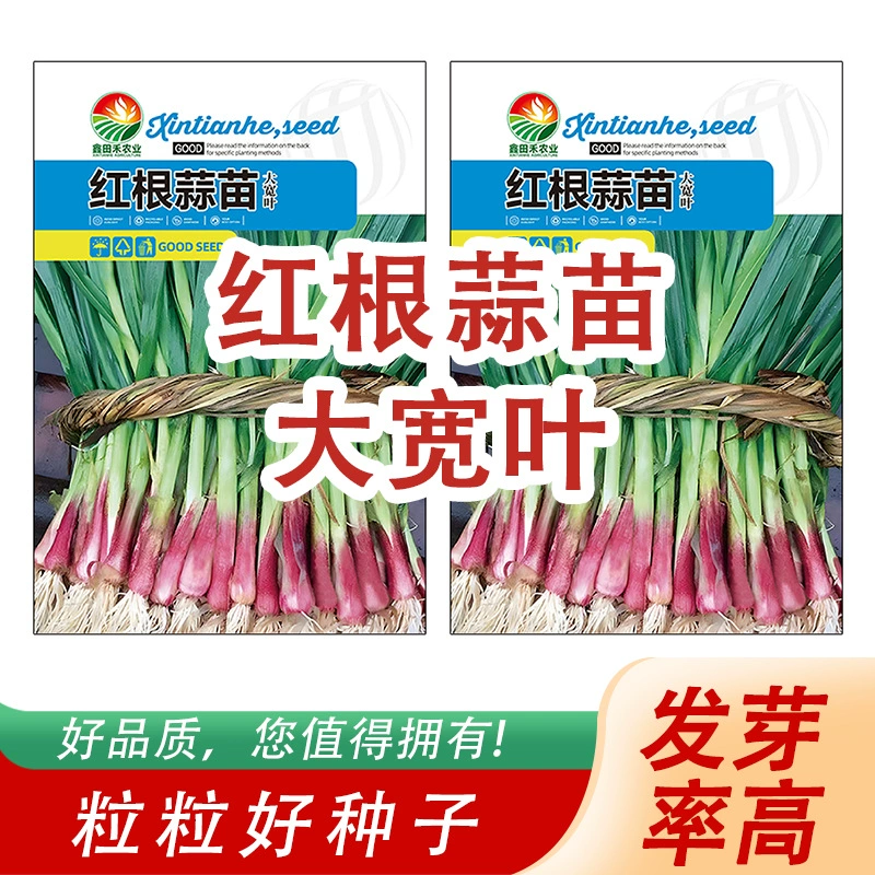 Производители поставляют семена овощей