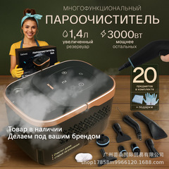 пароочиститель高压高温蒸汽清洗机大容量3000W