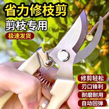 ��֦������֦�����@ˇ�@���޻�֦�����ü�֦���ܼ����޼��������