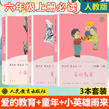 快樂讀書吧六年級上冊3本小英雄雨來童年書愛的教育 人教版