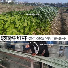 种菜棚架阳台种菜专用蔬菜种植支架大棚塑料膜骨架架杆新型小拱棚