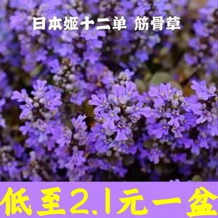 ��ǲ��҃��̨�ͺ����������ͥԺ�޸��͟����Ի����ļ������r��