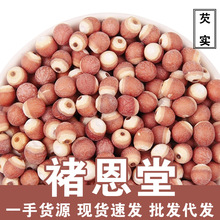 芡实中药材肇庆芡实干货新货芡实鸡头米养生菜花茶花果茶散装批发