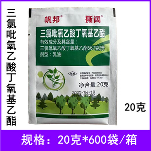 �����������ᶡ��������ɭ���s���rș���������������ᶡ��������