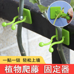 绿萝爬墙上花器绿植固定器绿箩家用无痕卡扣绿枝爬藤杆夹子室内