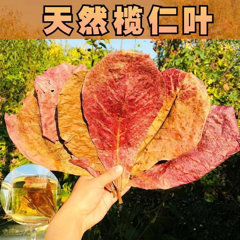 Листья стержня снижают pH воды, чтобы отрегулировать pH воды в аквариуме рыба умягченная вода в аквариуме ленивые листья оптом