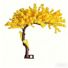 2׏ɷɫѻ7ͶƾƵbYb