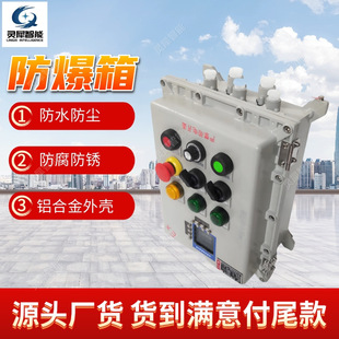 Waterproof Dustproof Explosion-Proof Distribution Box Good Sealing Explosion-Proof Distribution Cabinet Stable Performance Bxk Series Explosion-Proof Box