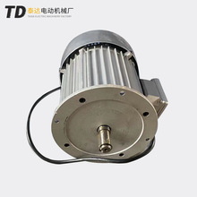 源头工厂 TD YCL7124D磨抛机电机220V  试验仪器电机