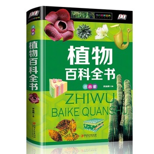 ���bӲ����ֲͯ��ٿ�ȫ��ע����С�W���������С�Wһ�꼉����