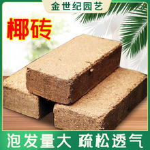 大量批发：国产小椰砖印度椰砖散椰糠椰壳椰块椰糠土进口低盐椰糠