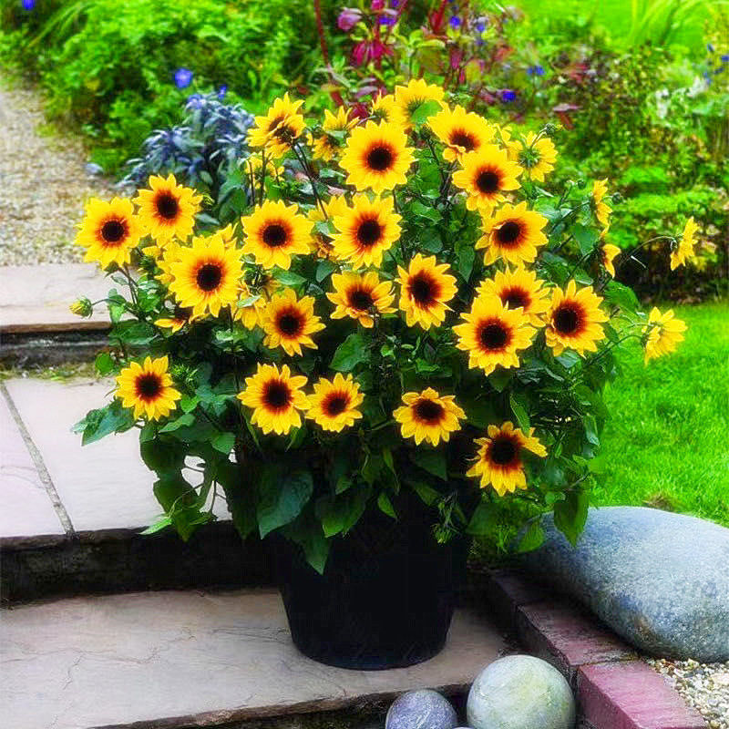 d416dcbf-423f-4a91-9e08-78b433ef6e97.jpe