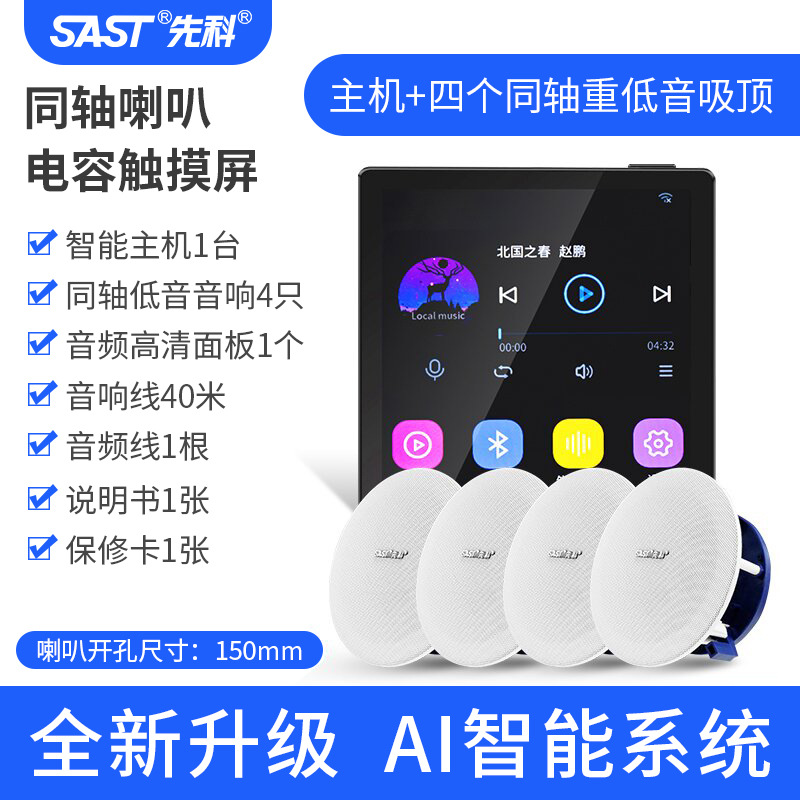 호스트 + HiFi 레벨 4 동축 서브우퍼 천장 스피커