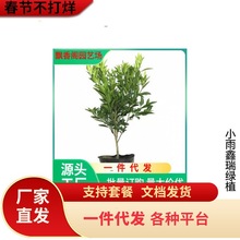 ����������Ҋ���٘��� ����Ҋ���Ә��� ��˹�۸��ټ޽���������