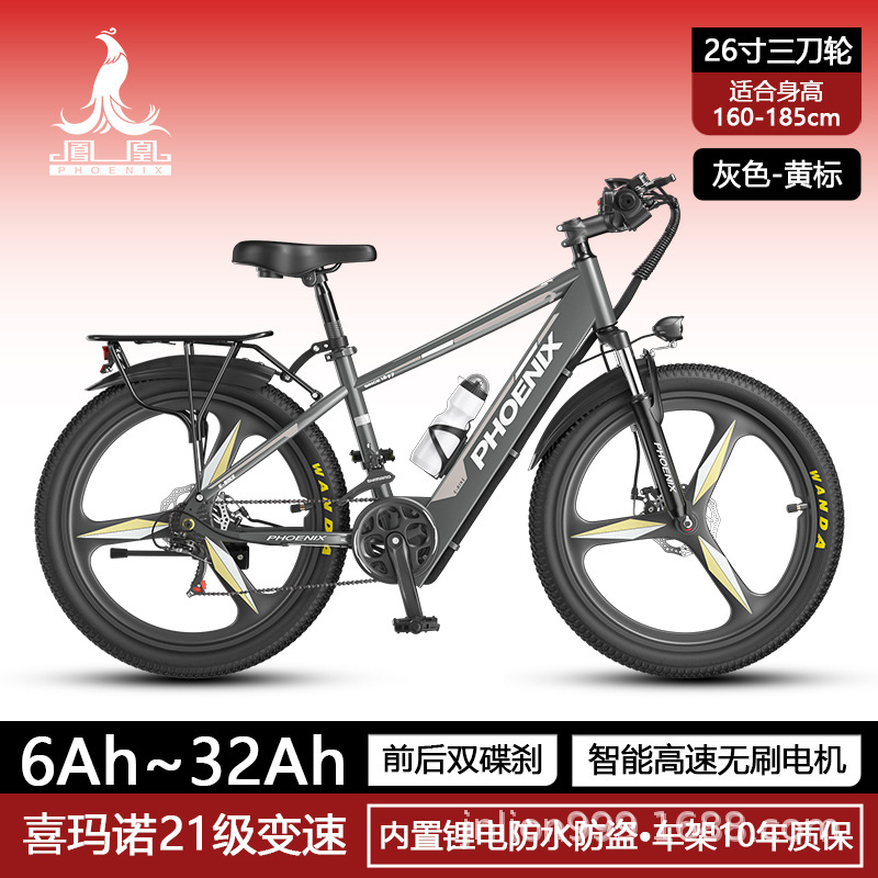 Bicicleta asistida eléctrica Phoenix Batería de litio estándar nacional Coche eléctrico para hombres y mujeres Motocicleta pequeña Coche de batería de transporte