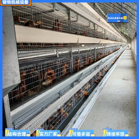 小层叠蛋鸡养殖设备 层叠式全自动化捡蛋喂料蛋鸡设备养鸡设备