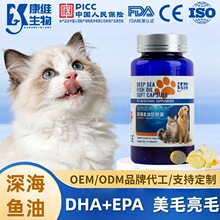 ��~��؈�乷��Ȯ������ë�B�w������l�z��؈�àI�B����