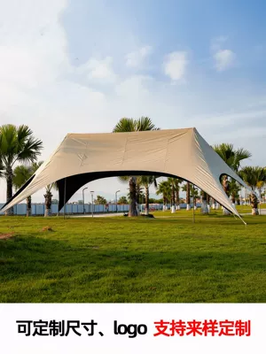 3.2m high-height vinyl canopy tent: Avtomobil yan çətirləri